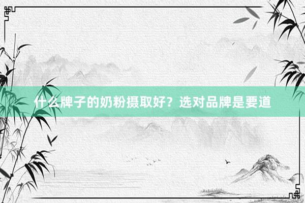 什么牌子的奶粉摄取好？选对品牌是要道