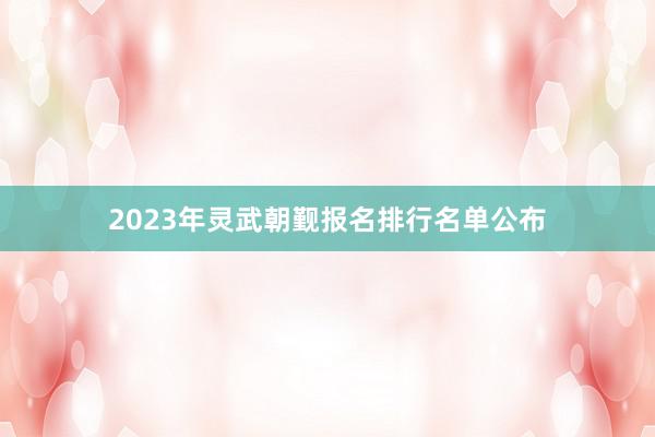 2023年灵武朝觐报名排行名单公布